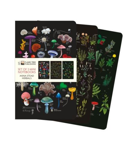 Herbals, Set of 3 Mini Notebooks