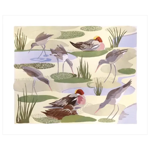 Godwits and Wigeon Greeting Card