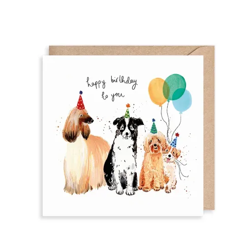 Dogs Happy Birthday, Greeting Card