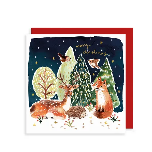 Snowy Woodland Scene