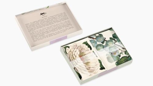 Botanical, Correspondence Set