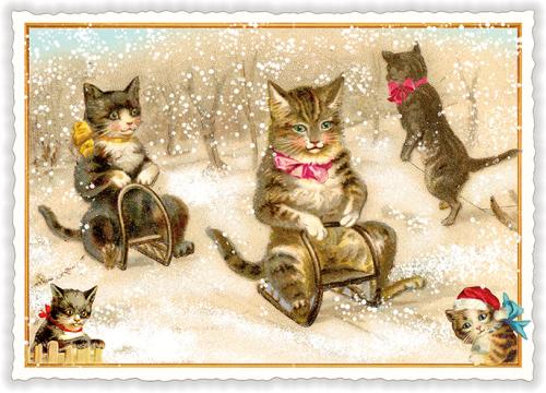 Christmas Without Text (Landscape) TS049