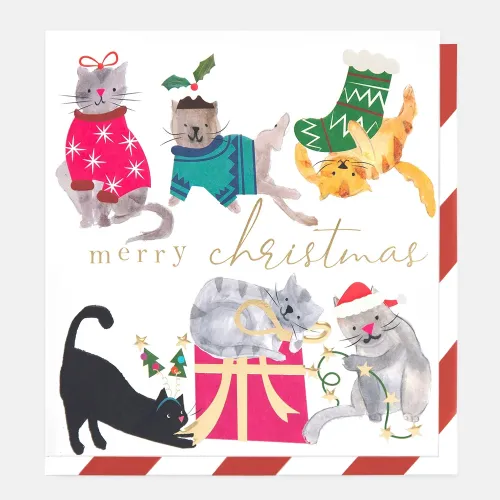 Cats Dress Up Christmas Greeting Card