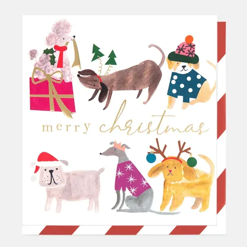 Dogs Dress Up Christmas Greeting Card