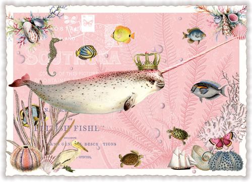 Narwal, Postcard