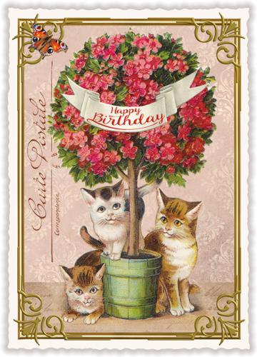 Happy Birthday Kittens, Postcard