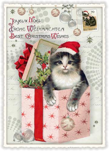Best Christmas Wishes Cat, Postcard
