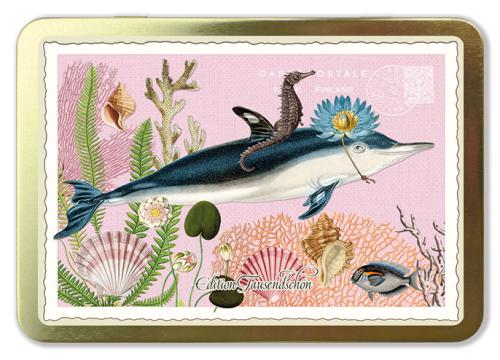Aquarium, Postcards in Metal box