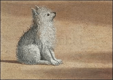 Vision of St. Augustine (Detail), 1502-1508, Postcard