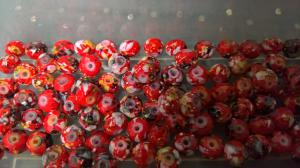 Abacus (paket om 10 st)