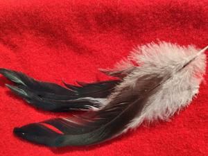 Fjäder (2st)