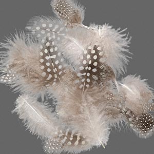 Fjädrar (Paket om 10 st)