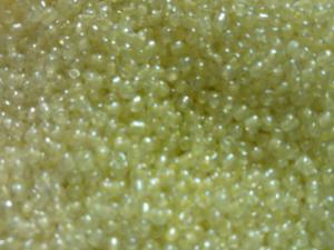 Roccaile pärlor (paket om 10 gram)