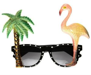 Flamingo Solglasögon