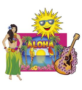 HAWAII DEKORATION