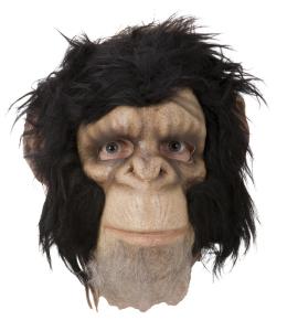 Chimpanzee mask