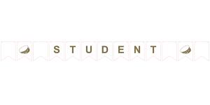 Flagg Banner Student 3 m