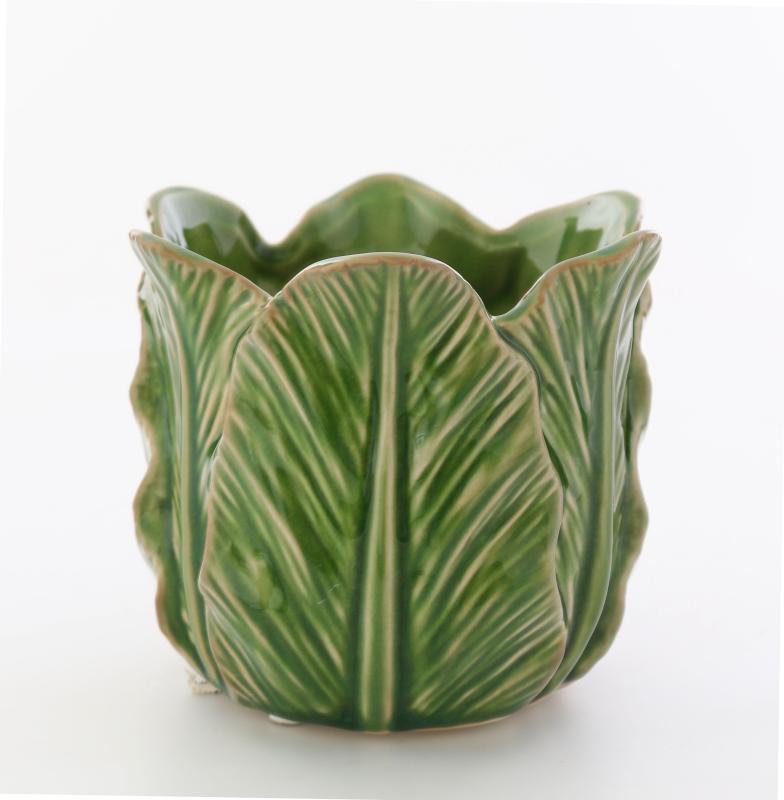 Bladkruka mellan ljusgrön