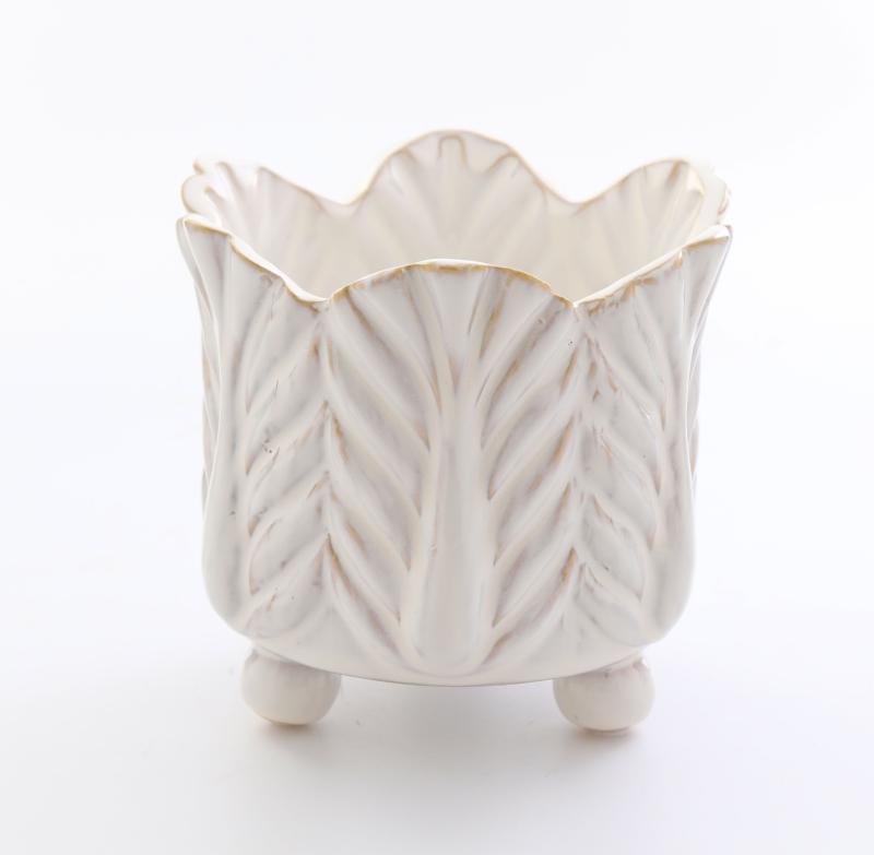 Bladkruka med tossar mellan vit