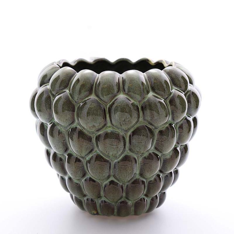 Hallonkruka 22x20 grön