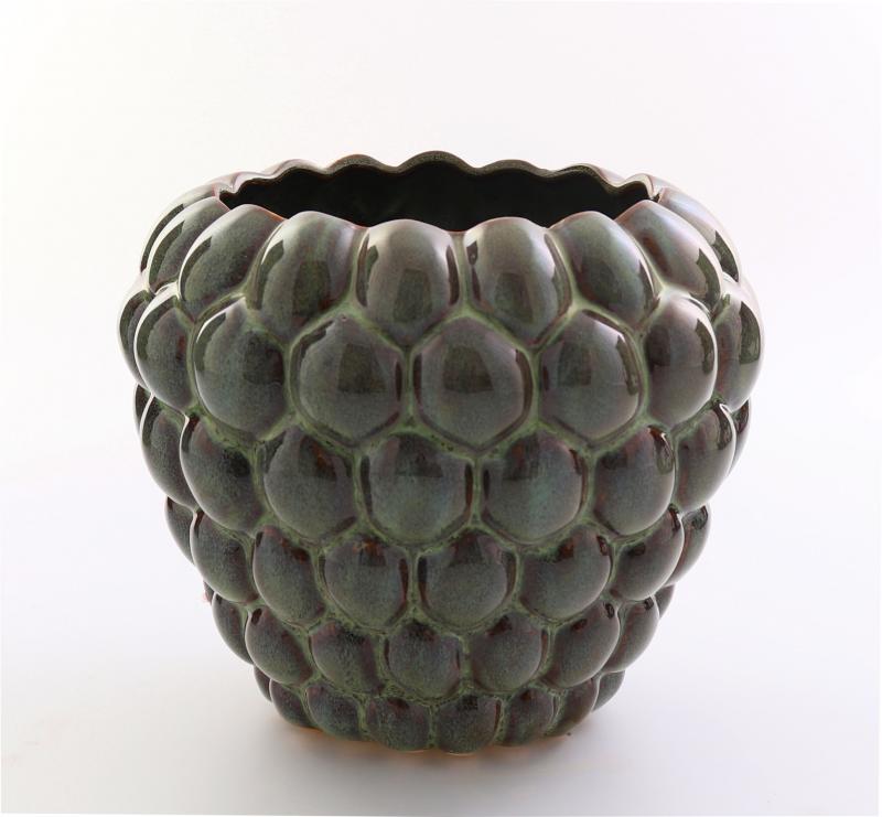 Hallonkruka mellan grön