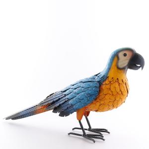 Papegoja plåt blå