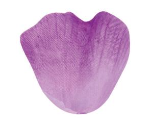 Rosblad Belle Lavendel & Grön