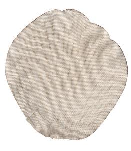 Rosblad Belle Mullvad Grön