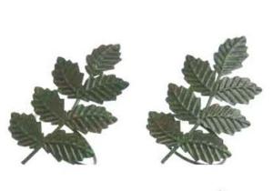 Servettringar Löv Grön