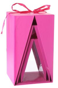 Presentboxar Neon Med Fönster Rosa