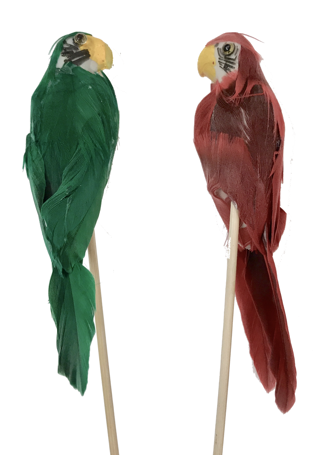 Papegojor Blomsticks Röd & Grön