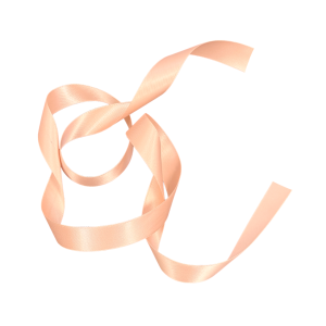 Satinband Charm Aprikos