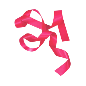 Satinband Charm Chockrosa