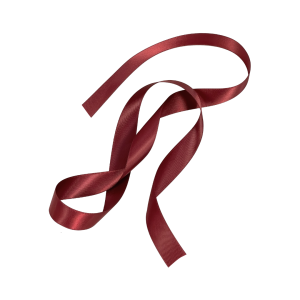 Satinband Charm Vinröd