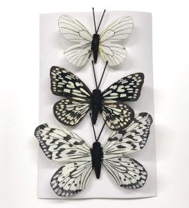 Fjärilar Natur Mix Svart Vit