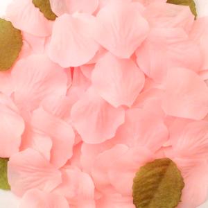 Rosblad Belle Ljusrosa & Grön