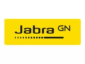 Jabra Evolve2 65 Flex MS Stereo USB-C