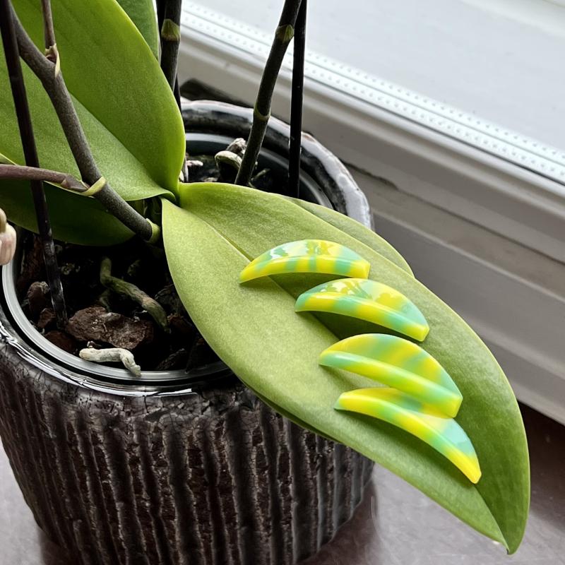 LIMITED EDITION Pretty Eyes spolar, 8 storlekar