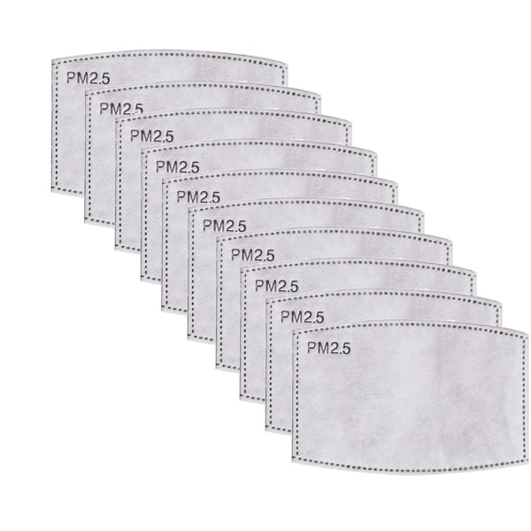 PM 2,5 utbytbara kolfilter, 10 st