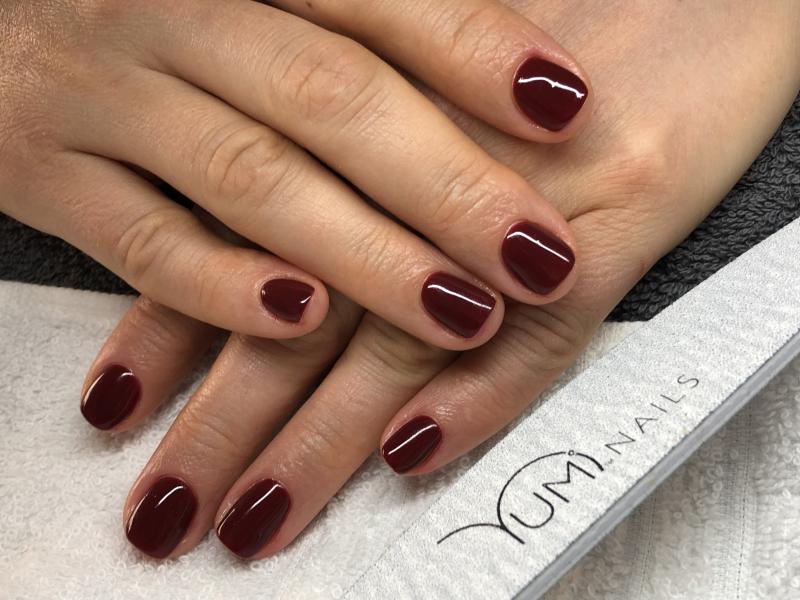 COLOR GEL LAC PRO #507