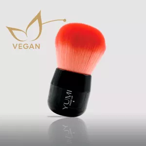 Kabuki brush
