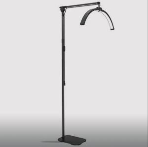 Half moon floor lamp med fjärrkontroll, svart