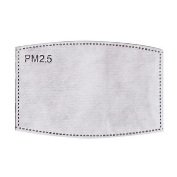 PM 2,5 utbytbara kolfilter, 10 st