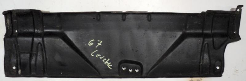 1967   Buick LeSabre     plate over radiator