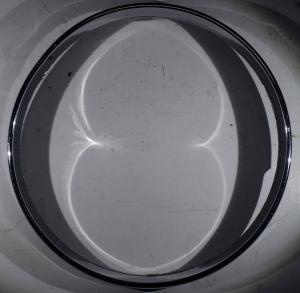 1964   Buick LeSabre        headlight door   inner   right