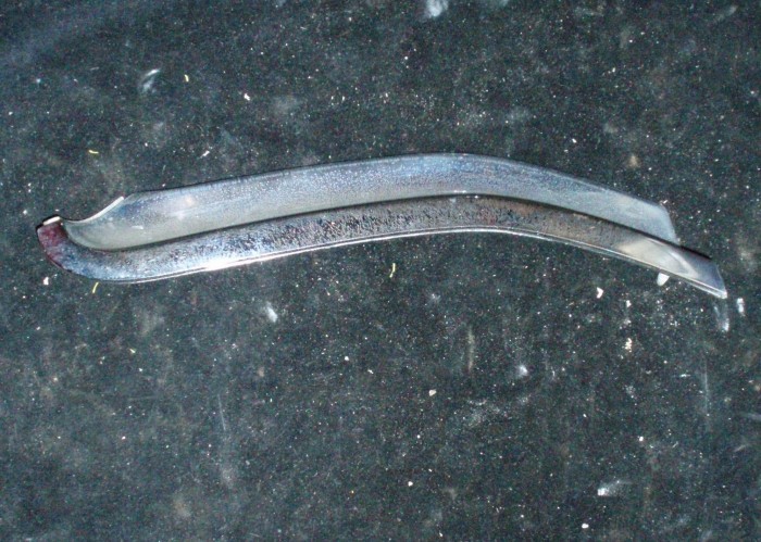 1968 Buick Riviera chrome strip front right