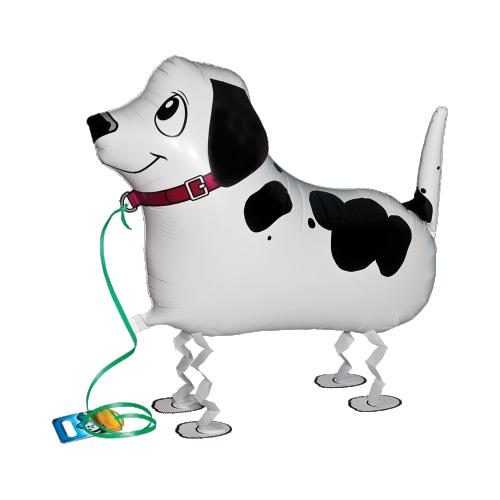 55cm Gående Pointer - S