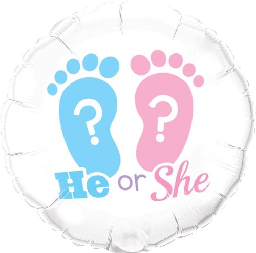 46cm Gender Reveal "He or She?"