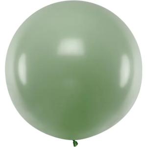 100cm Rosmarin