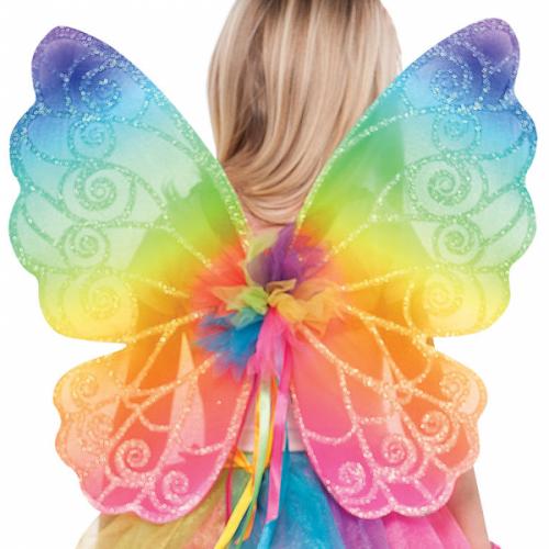 Wings Rainbow Fairy Children